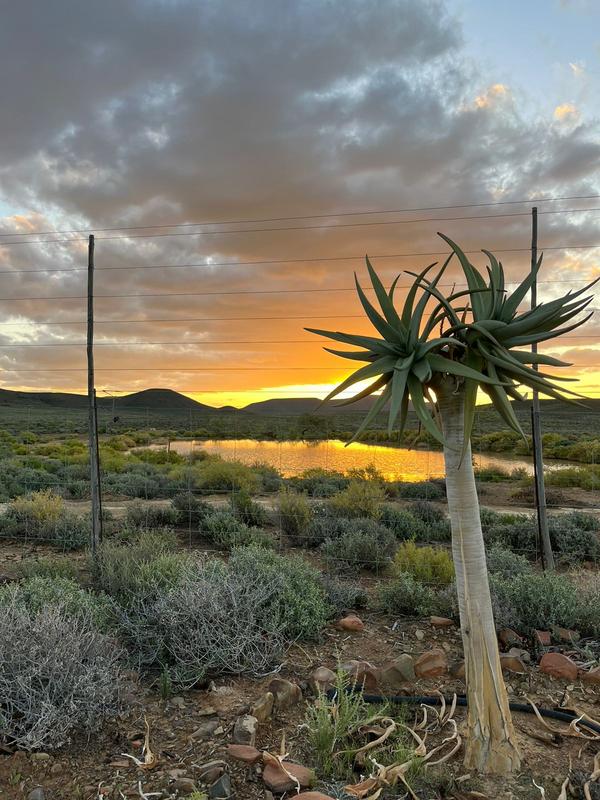 9 Bedroom Property for Sale in Sutherland Northern Cape